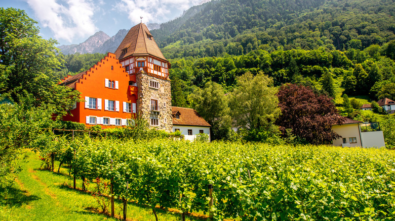Rote Haus and vineyard
