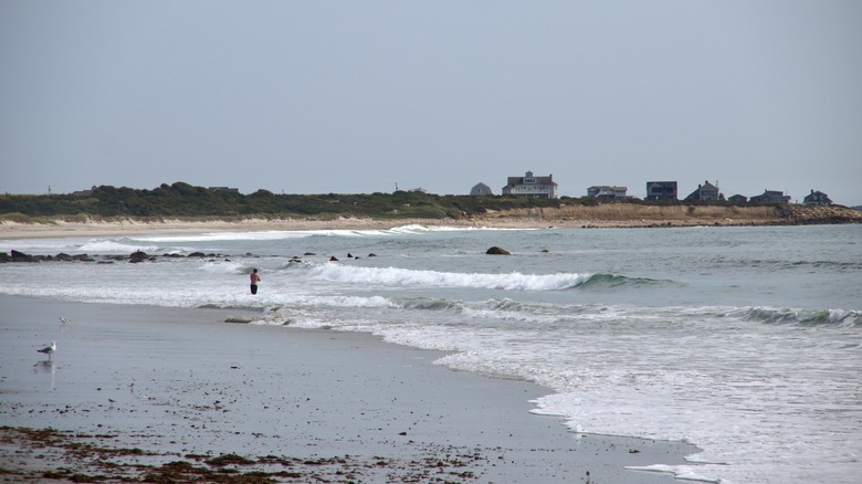 Cottages frame Goosewing beach