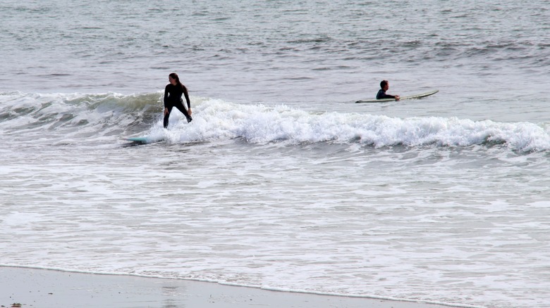 Surfers ride Goosewing waves