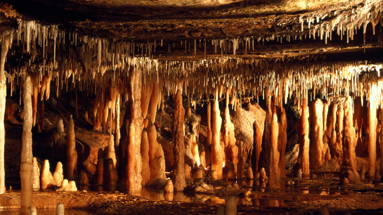 stalagmites and stalactites cave formations raccoon mountain caverns