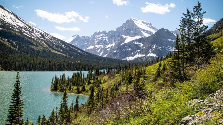 Lake Josephine Glacier National Park mountain backdrop