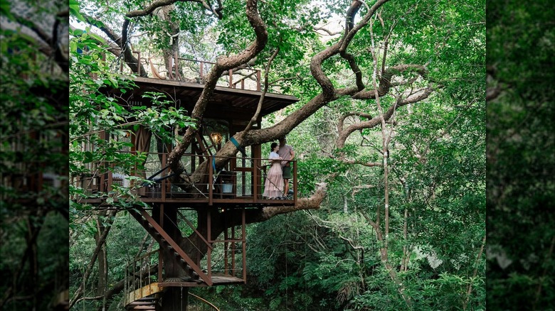 Couple in a treehouse