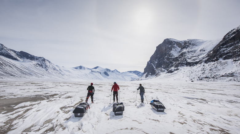 Visitors exploring Auyuittuq National Park in winter