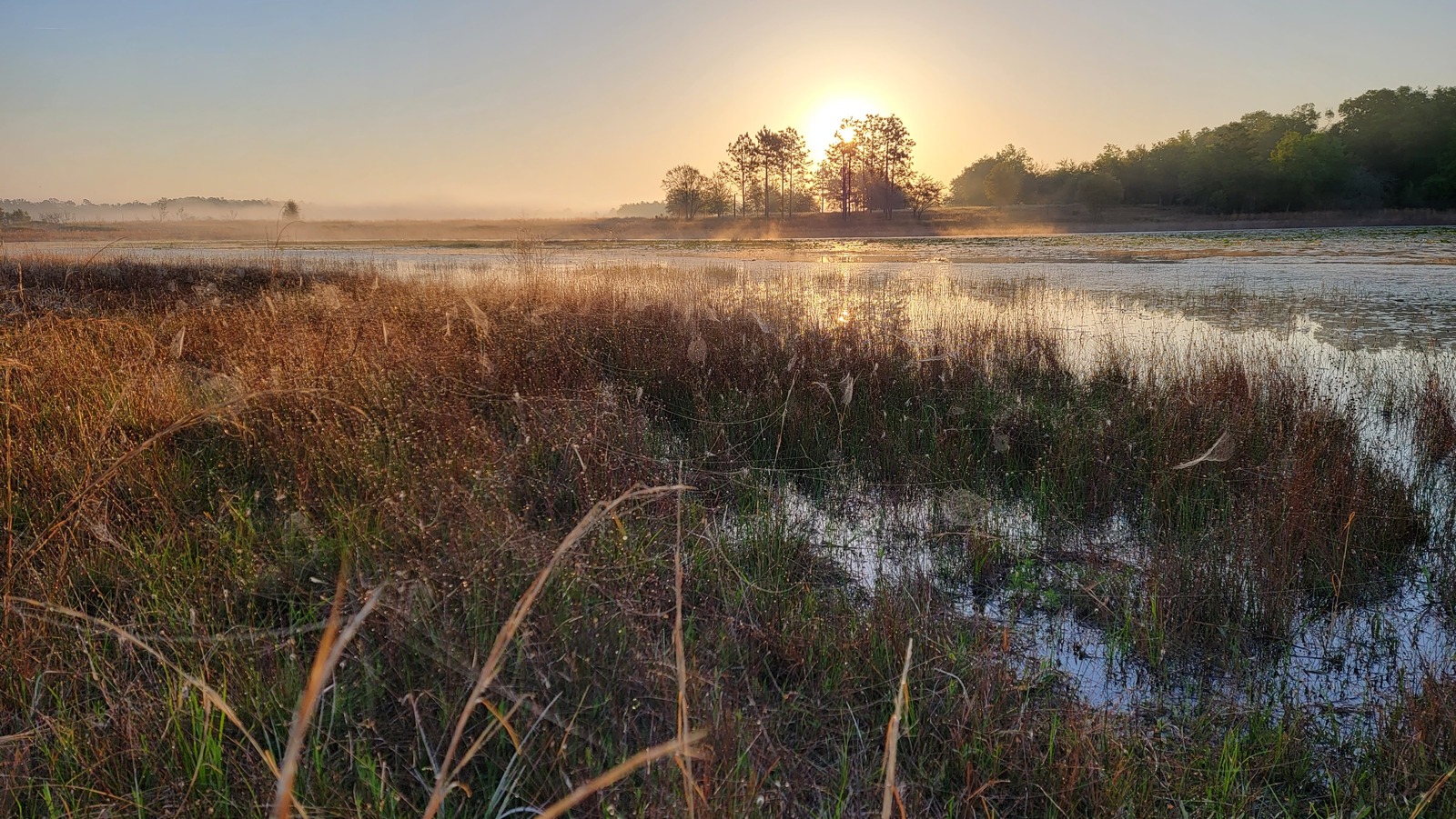 One Of The Most Underrated, Lesser-Known Florida State Parks Is A ...