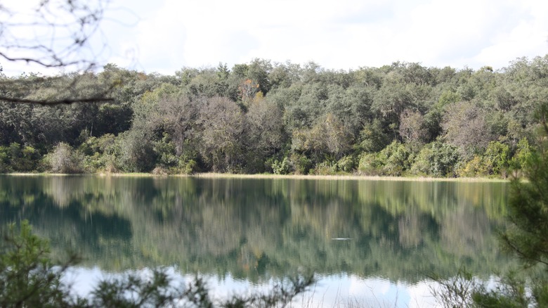 Mike Roess State Park lake