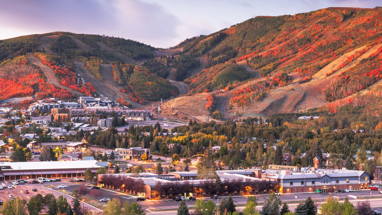 Stunning fall color in Utah