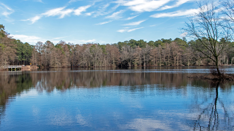 Lake scene with trees and dock in background