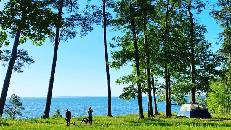 campers beside lake with dog