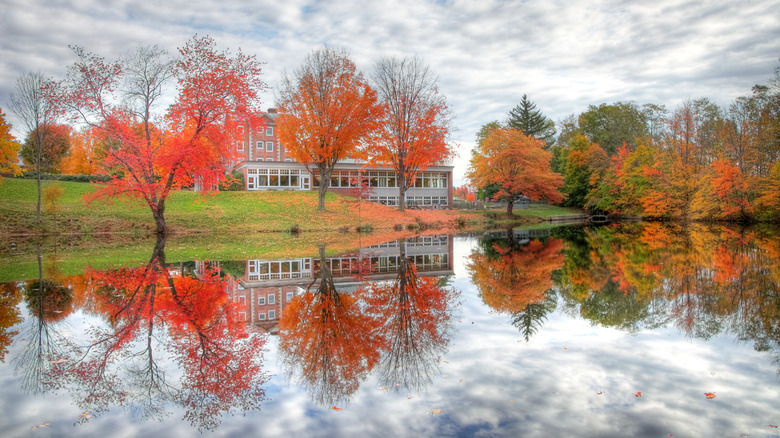 Fall foliage reflected in pond