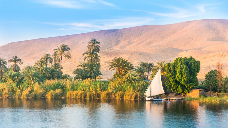 Sailboat on the Nile River