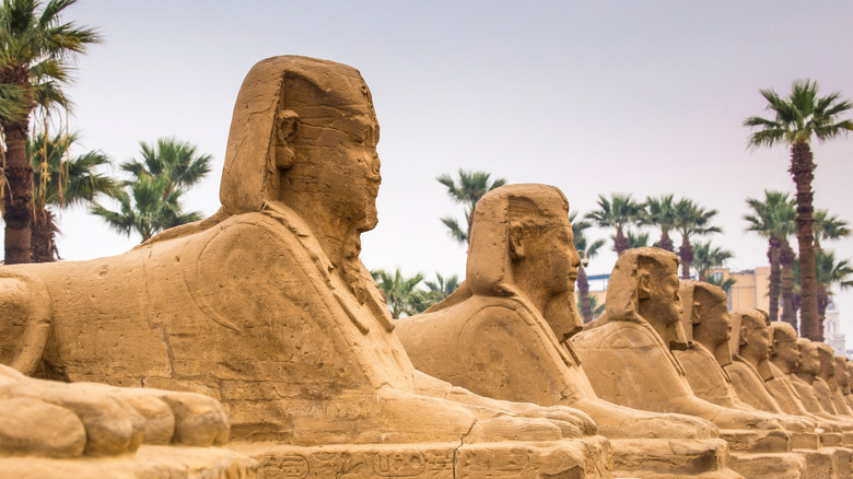 Sphinx statues in Luxor, Egypt