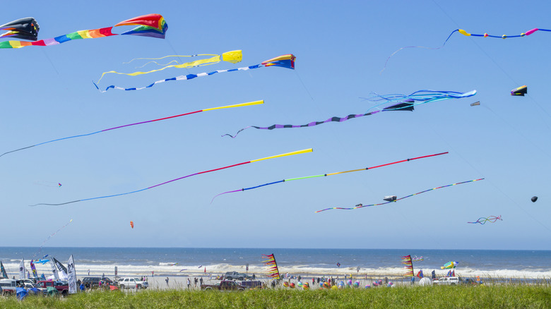 Long Beach WA Kite festival kites flying on beach