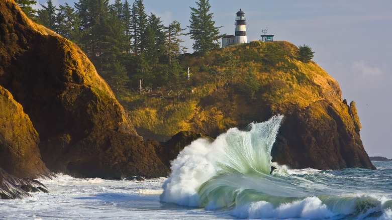 Cape Disappointment North Head Lighthouse wave crashes on shore