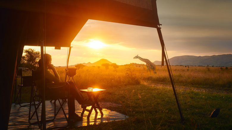 Person watching a giraffe from Serengeti camp, Tanzania