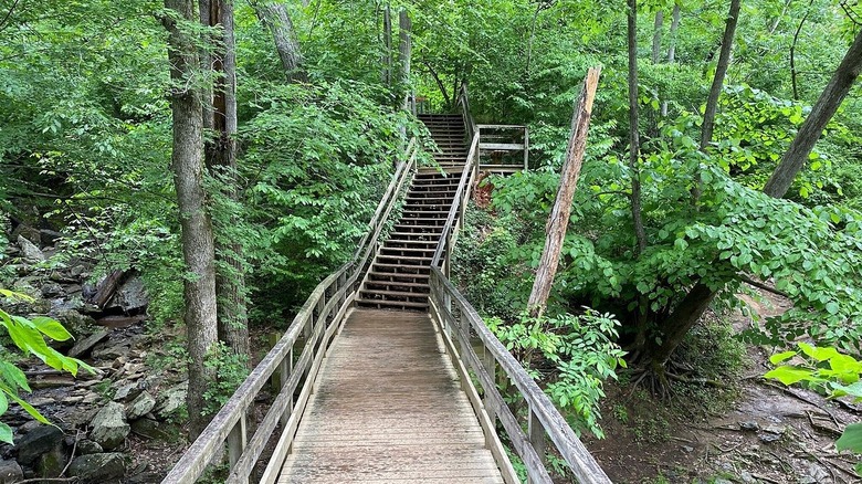 Great Falls Park bridge trail
