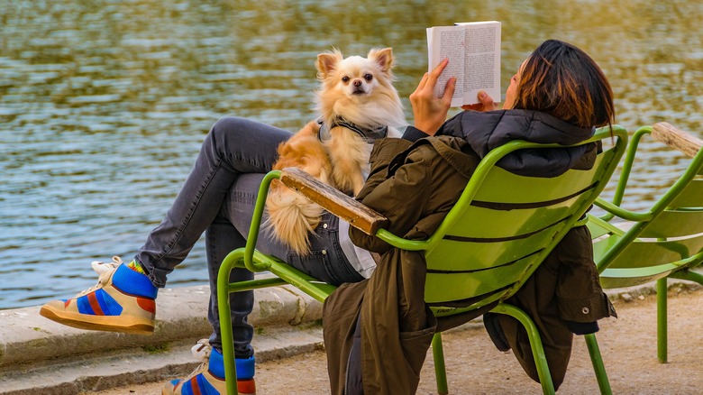 Woman reading at park with dog