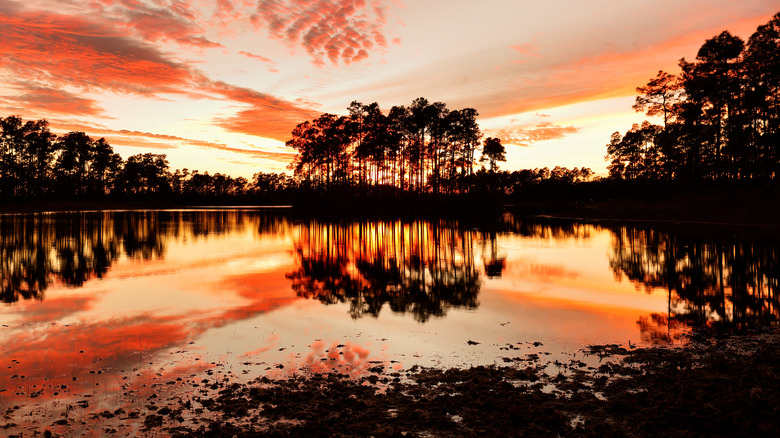 A lake in the Everglades