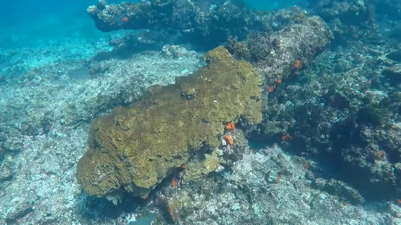 Batavia shipwreck, Abrolhos Islands, Australia