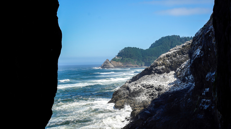 View from inside Sea Lion Caves