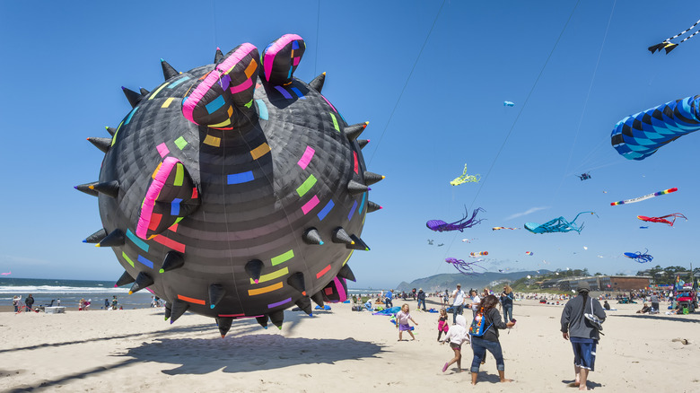 Colorful kites at the Lincoln City Kite Festival