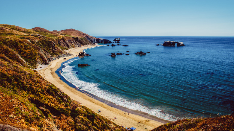 aerial shot of Sonoma coastline