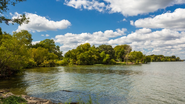 Wooded shoreline along a lake