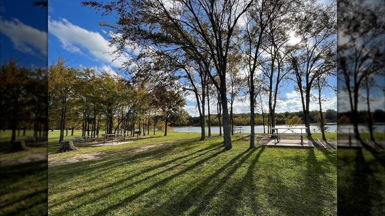 Lakefront campsites with picnic tables