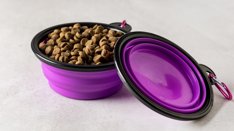 collapsible pet bowls