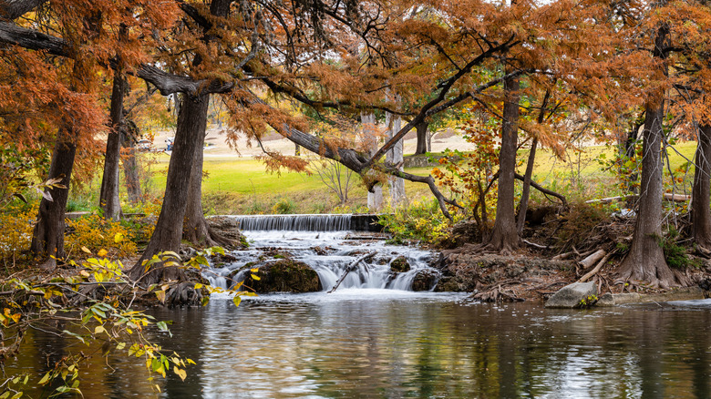 Frio River in autumn