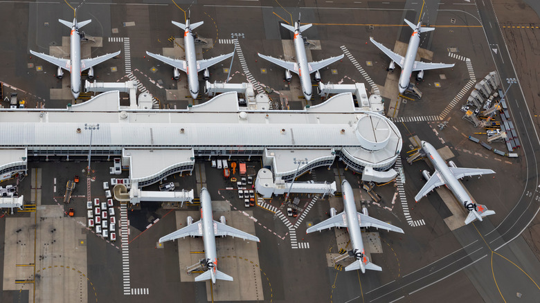 Airplanes parked at Sydney Airport