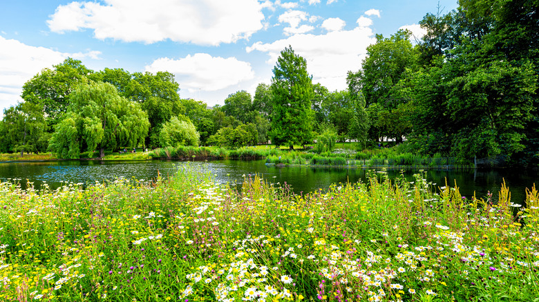 St. James Park