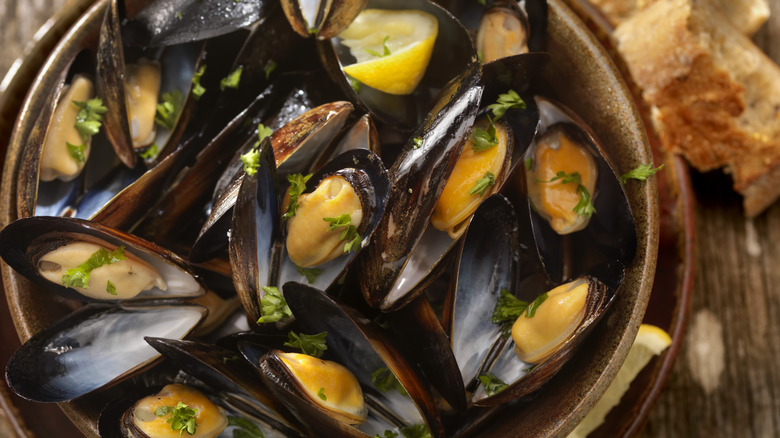 Plate of mussels