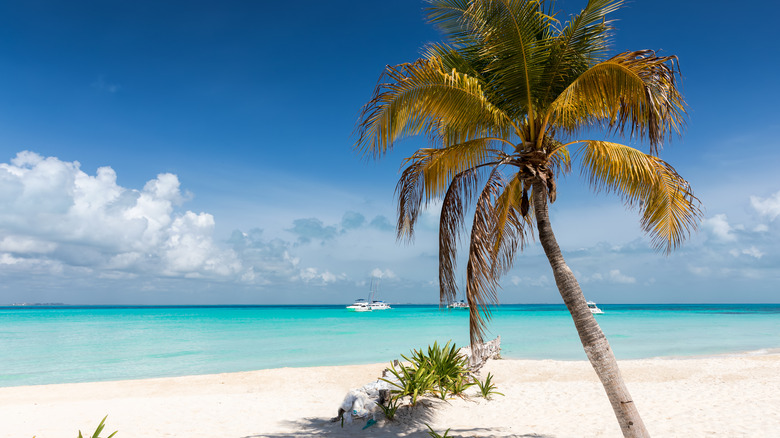 Beach in Isla Mujeres