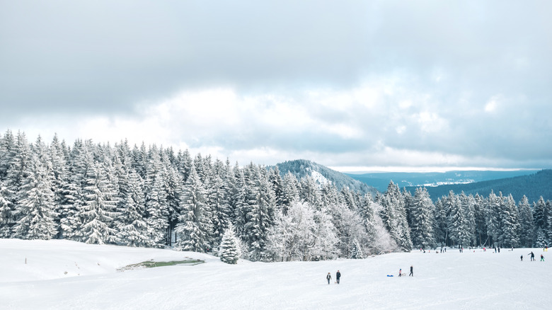 Snowy Thuringian Forest terrain