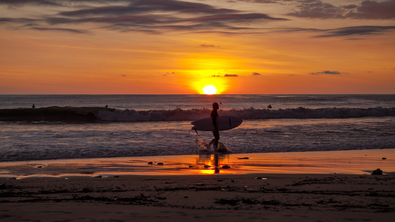 Surfers at sunset at Playa Santa Teresa