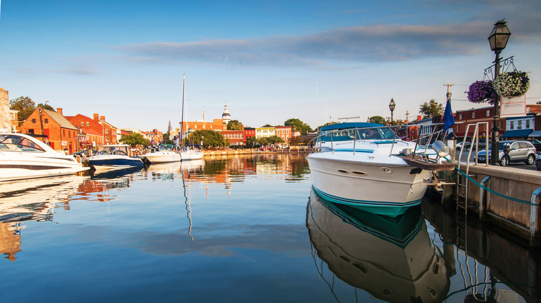 Annapolis Harbor Ego Alley