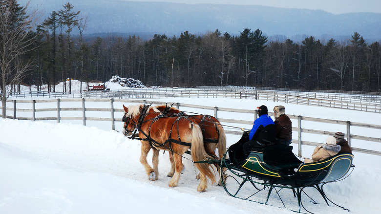 Winter sleigh ride in Stockbridge