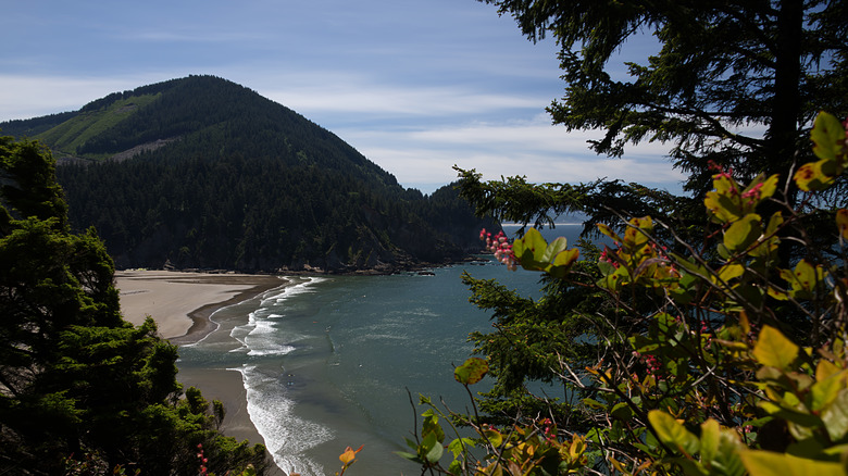 A view of Short Sand Beach