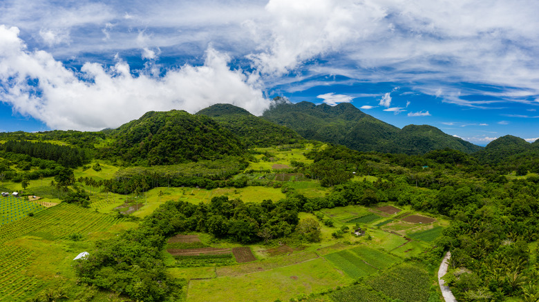 lush land on Mt Hibok-Hibok