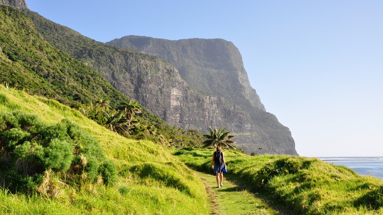 Lord Howe Island nature trail