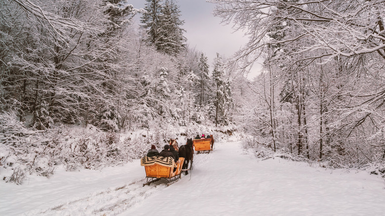 open air sleigh ride