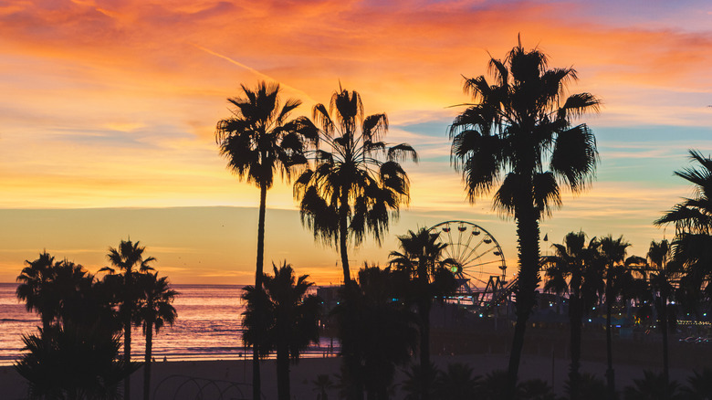 Santa Monica ferris wheel/sunset 