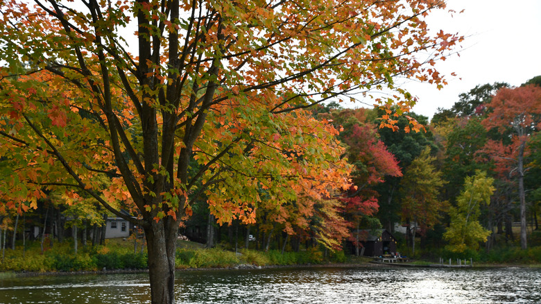 State park in Washington, Connecticut