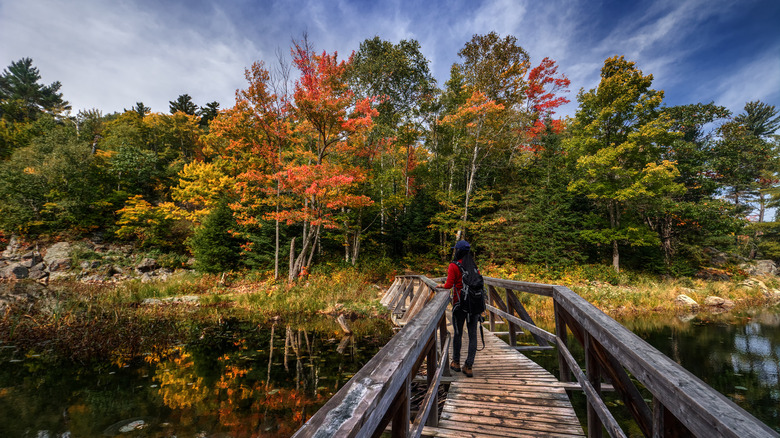 Hiker in Washington, Connecticut