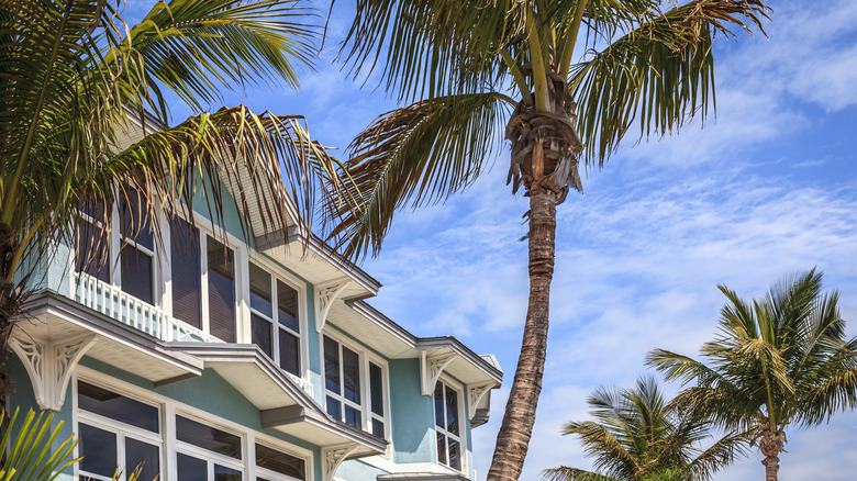 palm trees and front of hotel