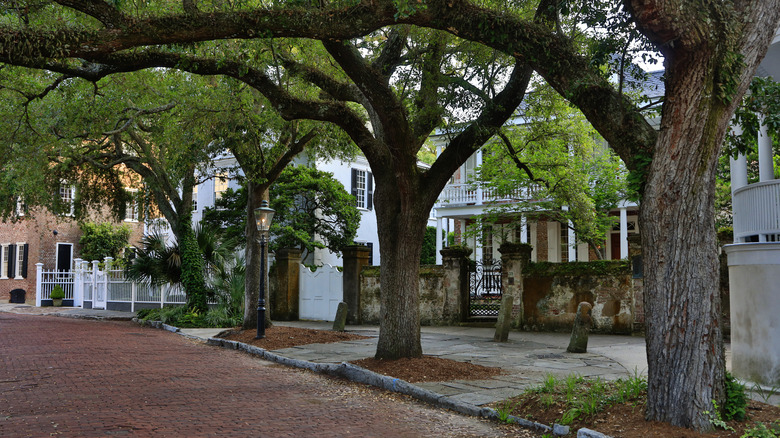 historical southern home with moss trees and cobbled street