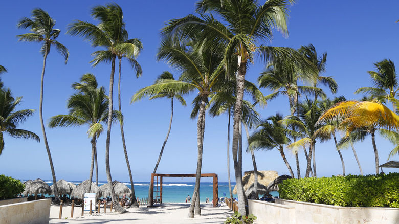 Punta Cana's Best All-Inclusive Resorts