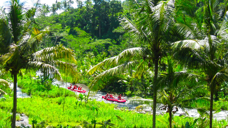 Rafters float down The Ayung River in Bali