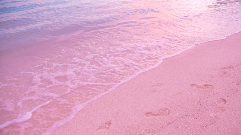 colorful beach