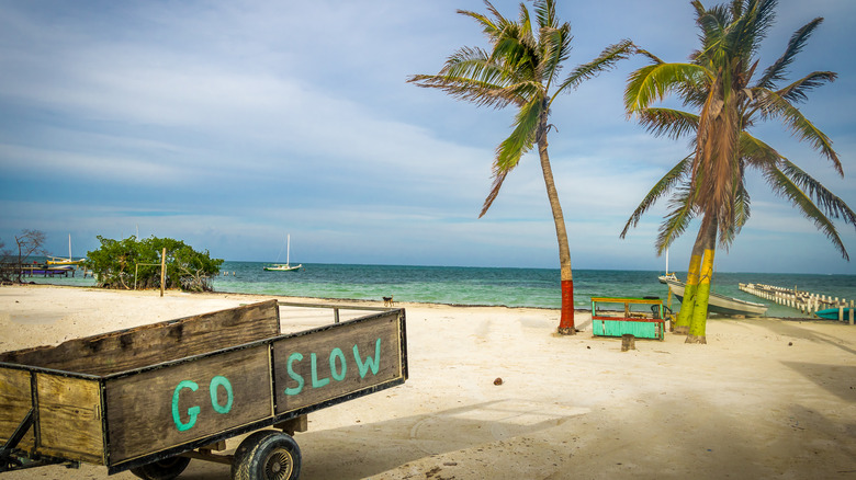 Caye Caulker's motto: "Go slow"